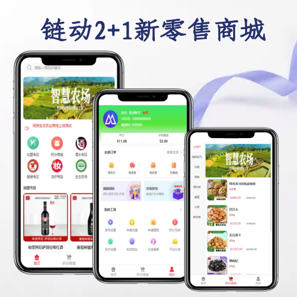 链动2+1新零售商城